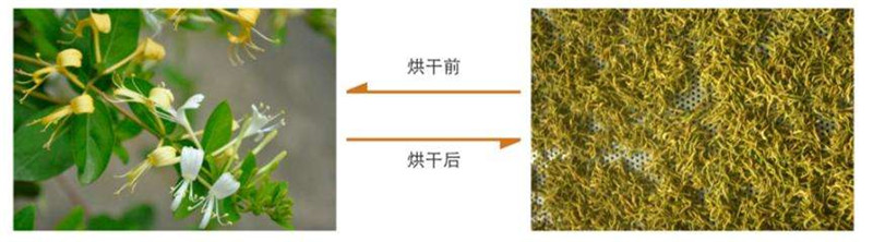 ���y����əC(j��)